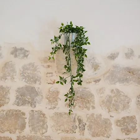 Chic And Charming Krk Downtown Appartamento *